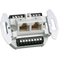 Tehalit UAE Anschlussdose 2-fach 8/8 polig G 3120 von tehalit