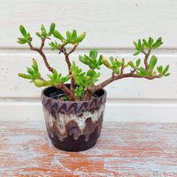 Vintage Übertopf Scheurich Fatlava Laufglasur von tempelschatz