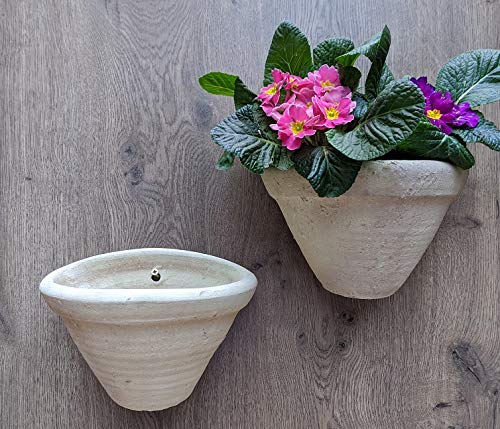 2 Stück Wandamphoren Blumentopf echt Terrakotta ca. 23 cm, Blumenkübel für Garten und Wohnung Terracotta Liegeamphore ........... kein Kunststoff, Blumen von terracotta-toepfe-de