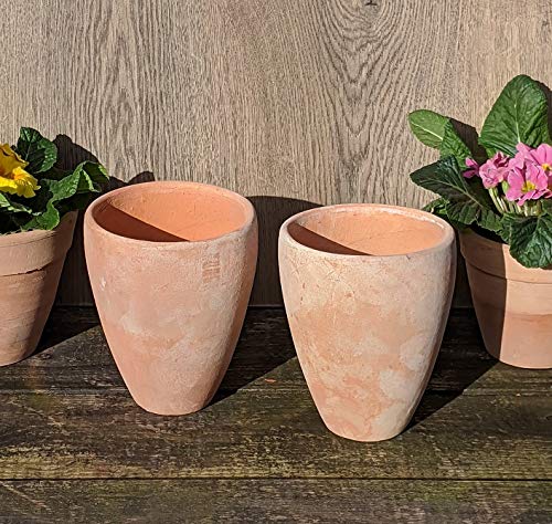 2er Set Blumentöpfe echt Terrakotta ca. 16 cm hoch, Übertopf für Garten und Wohnung Terracotta kein Kunststoff, Blumen Pflanzgefäß von terracotta-toepfe-de