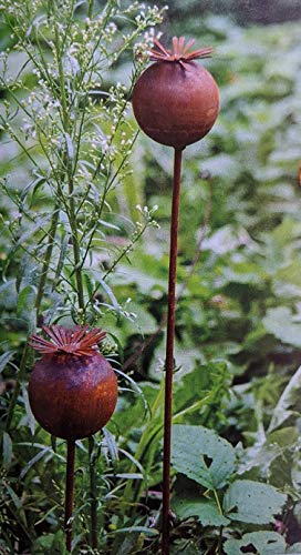 2er-Set Gartenstecker Mohn je 1x 40 cm und 1x 60 cm lang aus Metall in Edelrost Garten Deko Blumen Stecker Rankhilfe Rost 2er-Set Gartenstecker Mohn je 1x 40 cm und 1x 60 cm lang aus Metall in Edelrost Garten Deko Blumen Stecker Rankhilfe Rost von terracotta-toepfe-de