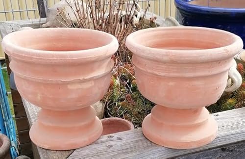 2er Set - Rustikaler rötlicher Blumentopf echt Terrakotta ca. 23 cm breit Garten Wohnung Deko Sommer Pokal Pflanztopf von terracotta-toepfe-de