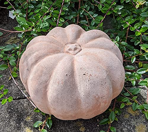 !! Aktion !! 2. Wahl !! Kürbis 14 cm hoch aus Terracotta Terrakotta Deko Herbst Erntedankfest Garten Obst Figur Landhaus Halloween von terracotta-toepfe-de