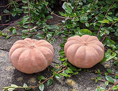 !! Aktion !! 2. Wahl !! Kürbisse 2er Set aus Terracotta Terrakotta, 2 x klein 7 cm hoch Deko Halloween Garten Obst Figur Landhaus Herbst Erntedankfest von terracotta-toepfe-de