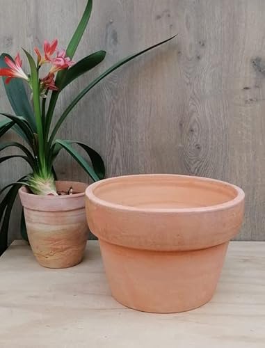 terracotta-toepfe-de Blumentopf Terrakotta ca. 31 cm Außendurchmesser, Blumenkübel für Garten Wohnung Terracotta Pflanzgefäß Mediterran Deko von terracotta-toepfe-de