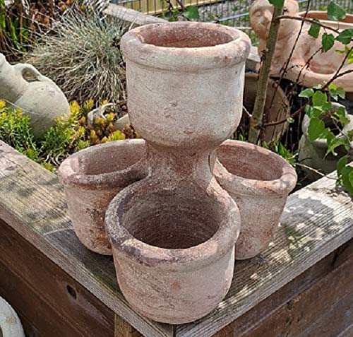 Rustikal handgetöpferter Kräutertopf Erdbeertopf echt Terrakotta 23 x 23 cm, Kräuterspirale Pflanztopf Blumenkübel für Garten und Wohnung Terracotta Erdbeertopf Mediterran von terracotta-toepfe-de