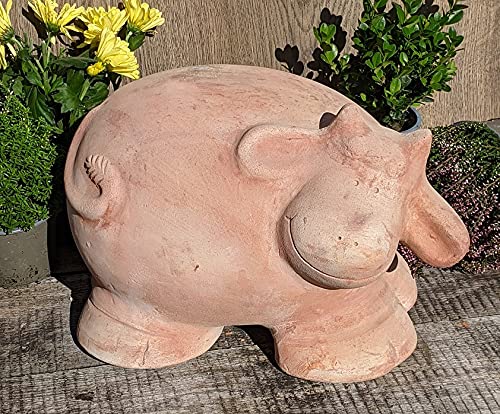 2.Wahl !! Lustige Kuh ca. 30 cm breit aus Terracotta, Deko Garten Figur Tiere Landhaus Terrakotta Bauernhof Streichelzoo von terracotta-toepfe-de