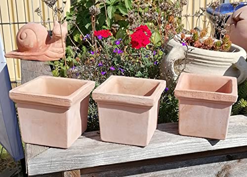 NEU !! 3 er Set kleine Blumentöpfe 10 cm hoch echt Terracotta Terrakotta Mediterran Garten Deko Blumenkübel Pflanztopf Blumentopf von terracotta-toepfe-de
