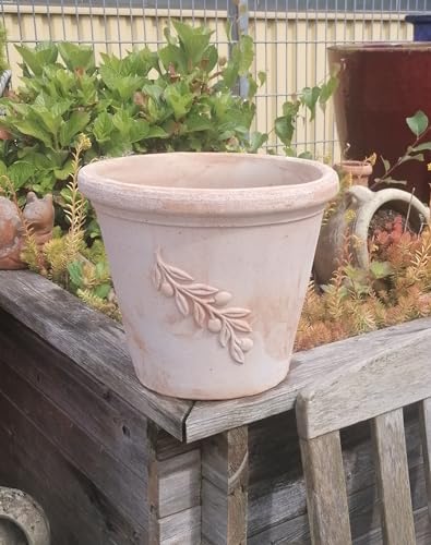 NEU !! Blumentopf mit Olivenzweig echt Terrakotta Durchmesser ca. 30 cm , Blumenkübel für Garten und Wohnung Terracotta , kein Kunststoff, Pflanzgefäß Garten Sommer Terrasse Balkon Deko von terracotta-toepfe-de