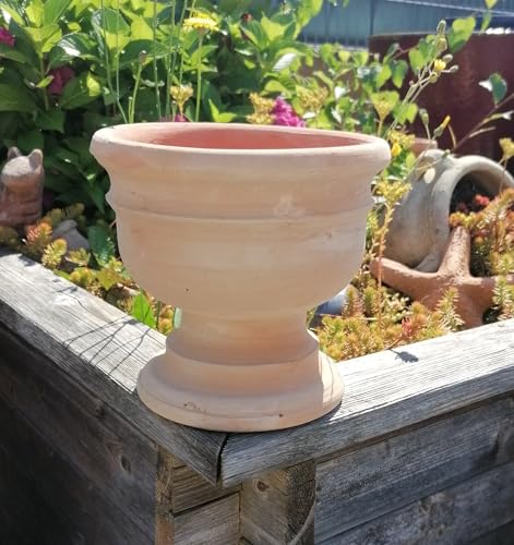 Rustikal handgefertigter Blumentopf/Pokal ca. 20 cm hoch aus weißgrau bis rötlichen Terracotta Terrakotta Pflanzgefäß Übertopf Mediterran Rustikal handgefertigter Blumentopf/Pokal ca. 20 cm hoch aus weißgrau bis rötlichen Terracotta Terrakotta Pflanzgefäß Übertopf Mediterran von PGONA