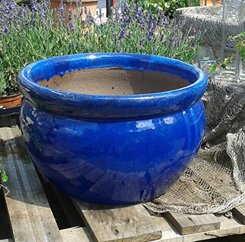terracotta-toepfe-de NEU ! Winterfeste kleine Pflanzschale/Blumentopf ca. 20 cm Durchmesser, blau glasiert Steingut Garten Deko Blumenkübel Pflanztopf terracotta-toepfe-de NEU ! Winterfeste kleine Pflanzschale/Blumentopf ca. 20 cm Durchmesser, blau glasiert Steingut Garten Deko Blumenkübel Pflanztopf von terracotta-toepfe-de