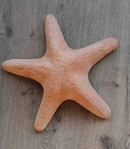 terracotta-toepfe-de Schöner Seestern 35 cm, echt Terracotta Terrakotta Garten Deko Meerestier Aquarium Wasser Teich von terracotta-toepfe-de