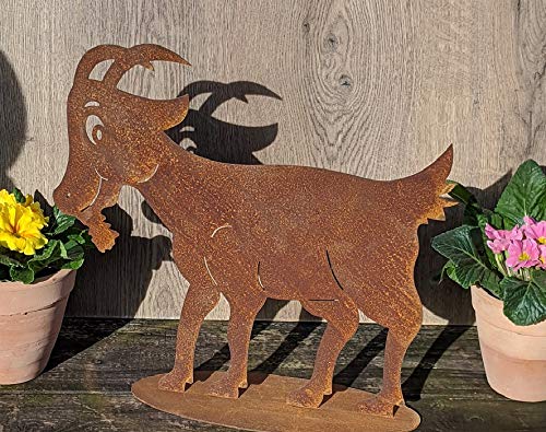 terracotta-toepfe-de Ziege ca. 40 cm breit aus Metall Edelrost Rost Deko Tier Garten Ziegenbock Geißbock terracotta-toepfe-de Ziege ca. 40 cm breit aus Metall Edelrost Rost Deko Tier Garten Ziegenbock Geißbock von terracotta-toepfe-de