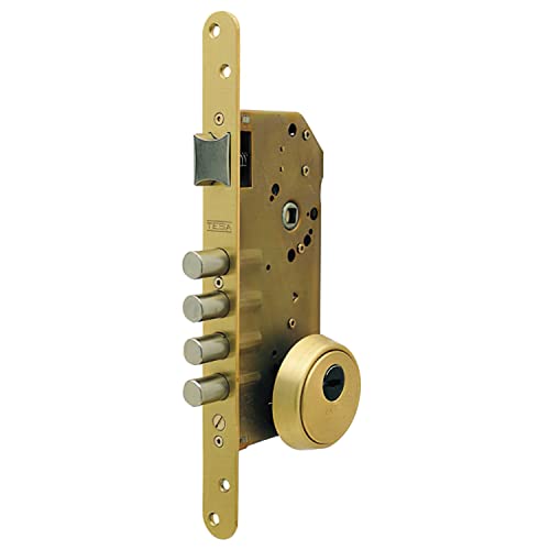 Tesa R200B/T6/6L Sicherheitsschloss von Tesa Assa Abloy