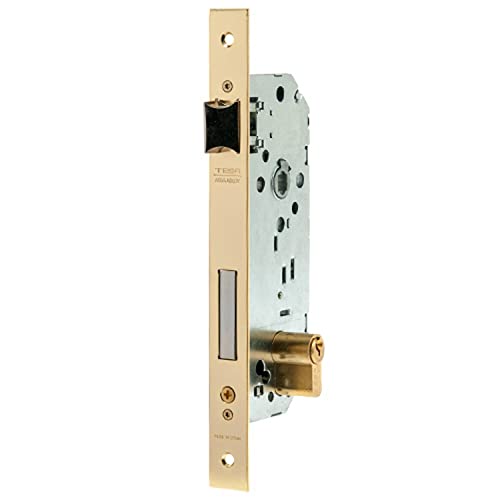 tesa 3012335 Schloss 2030-hl/50, Messing von Tesa Assa Abloy