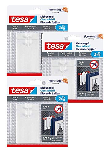tesa 77776-00000-00 Klebenagel für Tapeten und Putz/Selbstklebende Nägel für empfindliche Oberflächen/Leicht anzubringen und zu entfernen-rückstandslos / 2 x 2kg Halteleistung, 2 Kg, 2 Stück (3) von tesa