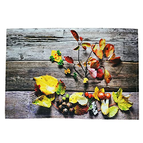 texpot 2 Stück Platzdeckchen 30 x 45 aus 100% Polyester Herbst buntes Herbstlaub auf Holzbrett von texpot