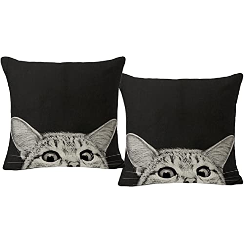 thb Richter Kissenbezug 45 x 45 cm Leinen Katze Cat Kissenhülle Kopfkissenbezug für Zuhause und Sofa Schlafzimmer Dekoration Dekokissenhülle mit verstecktem Reißverschluss Quadratisch (2er Set - C) von thb Richter