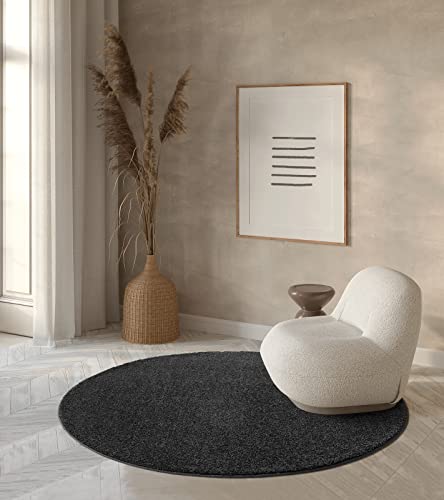 the carpet Grande Moderner Flauschiger Dichter Kurzflor Wohnzimmer Teppich, Supersoft Feeling, Melange Effekt, Eleganter Glanz, Anthrazit, 160 cm Rund von the carpet