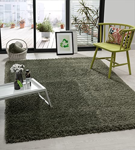 the carpet Green Velvet Wohnzimmer Öko Teppich, Hochflor besteht aus 100% recyceltem Polyester, Langflor, Luxuriöse Felloptik, Kuschelig Weich, Grün, 120 x 170 cm von the carpet