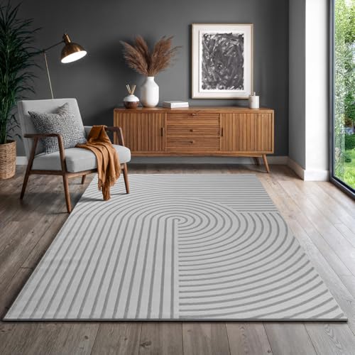 the carpet Knight Luxuriöser Wohnzimmerteppich mit Soft-Touch-Kurzflor, 3-D Effekt und Raffinierten Glanzdetails in Hoch-Tief Struktur, Grau, 120 x 170 cm von the carpet
