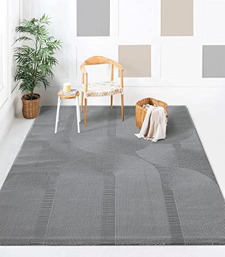 the carpet Lima nachhaltiger und umweltbewusster Designer Teppich, weich & pflegeleicht, 3D-Effekt, waschbar, Flor aus 100% recyceltem Polyester, Grau, 120 x 170 cm von the carpet