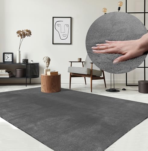 the carpet Relax Moderner Flauschiger Kurzflor Teppich, Anti-Rutsch Unterseite, Waschbar bis 30 Grad, Super Soft, Felloptik, Anthrazit, 300 x 400 cm von the carpet