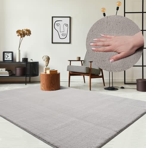 the carpet Relax Moderner Flauschiger Kurzflor Teppich, Anti-Rutsch Unterseite, Waschbar bis 30 Grad, Super Soft, Felloptik, Sand, 60 x 110 cm von the carpet