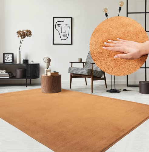 the carpet Relax Moderner Flauschiger Kurzflor Teppich, Anti-Rutsch Unterseite, Waschbar bis 30 Grad, Super Soft, Felloptik, Terra, 240 x 340 cm von the carpet