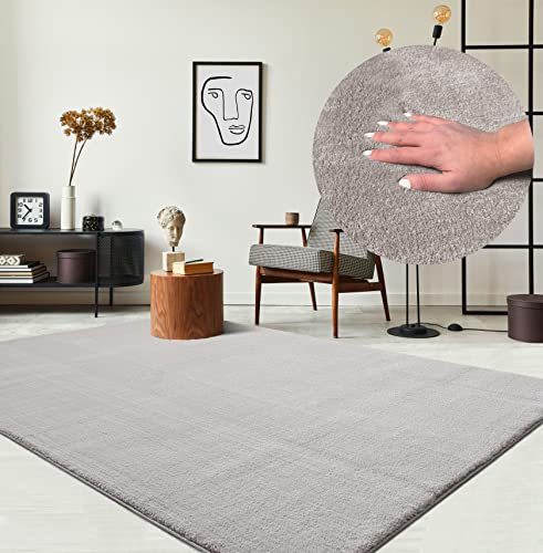 the carpet Relax kuscheliger Kurzflor Teppich, Anti-Rutsch Unterseite, Waschbar bis 30 Grad, Super Soft, Felloptik, Sand, 120 x 160 cm von the carpet