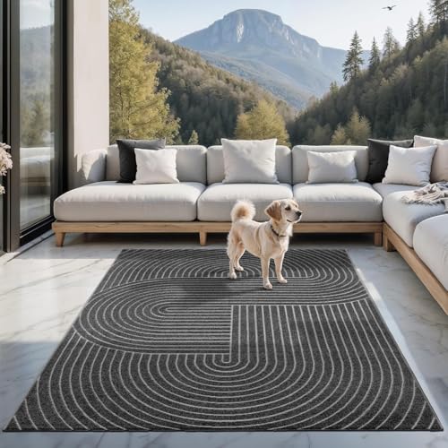 the carpet Santo Plus - Hochwertiger Outdoor Teppich, Passend für Wohnzimmer, Schlafzimmer und Terrasse, Wetterfest, langlebig und pflegeleicht, Anthrazit, 240 x 340 cm von the carpet