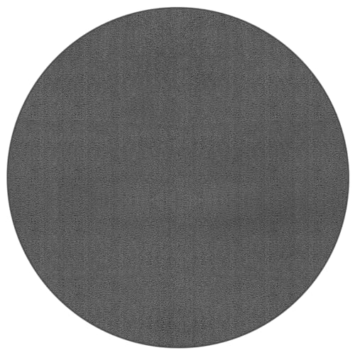 the carpet Suez Luxuriöser, weicher Teppich mit Leichter Pflege und Anti-Rutsch Rücken, Anthrazit, 160 cm Rund the carpet Suez Luxuriöser, weicher Teppich mit Leichter Pflege und Anti-Rutsch Rücken, Anthrazit, 160 cm Rund von the carpet