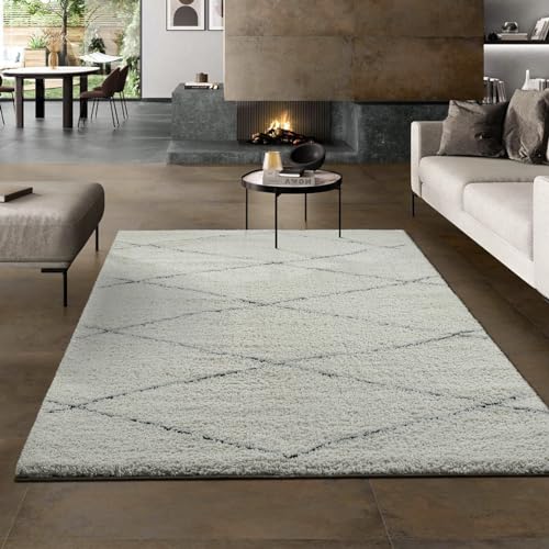 the carpet Velvet eleganter Designer Teppich Wohnzimmer, weicher & pflegeleichter Hochflor Wohnzimmerteppich in Creme-Schwarz 80 x 150 cm von the carpet