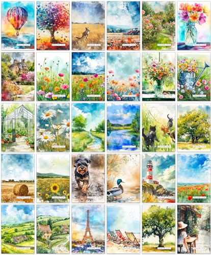 "the lazy panda card company“ 30 verschiedene, farbenfrohe und lustige Dankeskarten mit Umschlägen (Dankeskarten) von the lazy panda card company