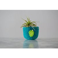 Gefilzte Schale Aus Wolle Mit Feigenkaktus - Geschenke Für Gärtner, Naturliebhaber, Frühling Ringschale Gefilzte Schale Aus Wolle Mit Feigenkaktus - Geschenke Für Gärtner, Naturliebhaber, Frühling Ringschale von theFelterie