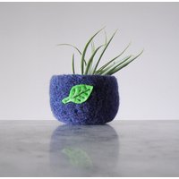 Gefilzte Wollschale in Royal Blau Mit Blatt - Air Planter Tillandsia Home Geschenke Für Gärtner Gefilzte Wollschale in Royal Blau Mit Blatt - Air Planter Tillandsia Home Geschenke Für Gärtner von theFelterie