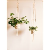 Makramee Blumenampel | Pflanzenhänger von theaugustclub
