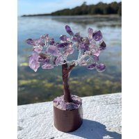 Amethyst-Kristallbaum | Amethyst Kristall Feenbaum Naturstein Lebensbaum Dekobaum Fairycore Hippie Boho Wohndeko Amethyst-Kristallbaum | Amethyst Kristall Feenbaum Naturstein Lebensbaum Dekobaum Fairycore Hippie Boho Wohndeko von thecrystalelementau