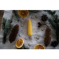 Bienenwachskerze Zapfenglanz, 10 cm Lang, 2, 2 Im Durchmesser von therootfolks