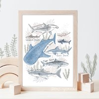 Hai Kunstdruck- Lerne Meine Haie - Boho Kinder Deko Poster Kinder- Lernkunst- Nachhaltig Ausgangspapier Und Plastikfreie Verpackung von thetinytoucan