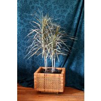 Offen Gewebter Großer Blumentopf - Einsatz Weidenpflanzer Zimmerpflanzenkorb Bambuskorb Korb Geschenk von theturtleroad