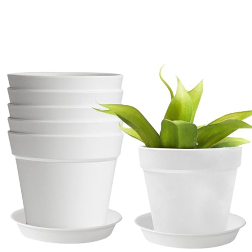 Blumentöpfe, 8,8 cm Plastik Blumentopf mit Untersetzer, 6er Set Plastik Übertopf Kräutertopf, Blumentöpfe Innen Übertopf, Kunststoff Blumentopf mit Untersetzer, für Innen Sukkulenten Kaktus, Weiß von thirei