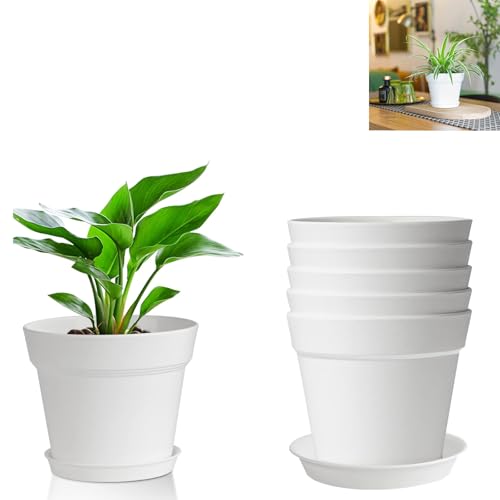 thirei Blumentöpfe, 8,8 cm Kunststoff Blumentopf Weiß, 6 Stück Plastik Übertopf Kräutertopf, Kunststoff Blumentopf mit Untersetzer, Blumentöpfe Innen Übertopf, für Innen Sukkulenten Kaktus thirei Blumentöpfe, 8,8 cm Kunststoff Blumentopf Weiß, 6 Stück Plastik Übertopf Kräutertopf, Kunststoff Blumentopf mit Untersetzer, Blumentöpfe Innen Übertopf, für Innen Sukkulenten Kaktus von thirei