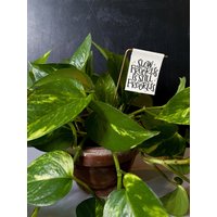 Slow Progress Is Still Plant Banner - Leinwanddruck Pflanzendekor Tiny Art Mini Print Motivationszitat Zimmerpflanze von threethirtysix