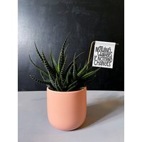 Wenn Nichts Ändert Sich, Pflanze Banner - Leinwand Druck Pflanzen Dekor Tiny Art Mini Print Motivationszitat Zimmerpflanze von threethirtysix