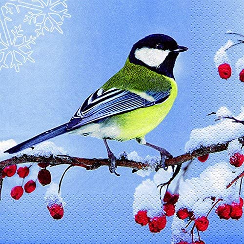 20 Servietten Kohlmeise auf frostigem Ast | Vogel | Tiere | Weihnachten | Winter | Tischdeko | Decoupage | Serviettentechnik 33x33cm von ti-flair