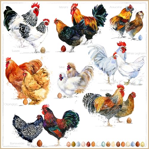 20 Servietten Verschiedene Arten von Hühner | Tiere | Bauernhof | Ostern | Tischdeko | Decoupage | Serviettentechnik 33x33cm von ti-flair