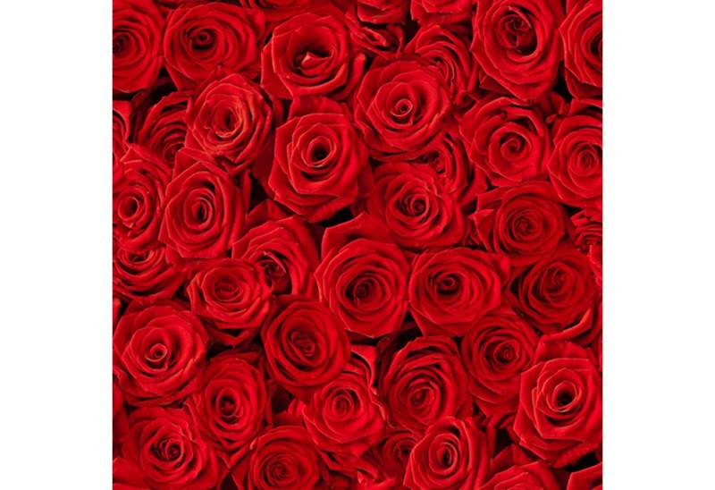 ti-flair Papierserviette, Servietten Papier 33x33cm 3-lagig Rosen 20 Stück rot von ti-flair