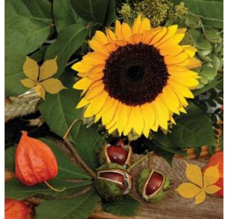 ti-flair Papierserviette 20 Servietten Castagne e Girasole 33x33cm, (20 St) von ti-flair