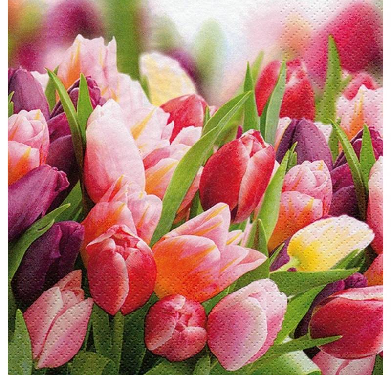 ti-flair Papierserviette 20 Servietten Pink & Violet Tulips 33x33cm, (20 St) von ti-flair